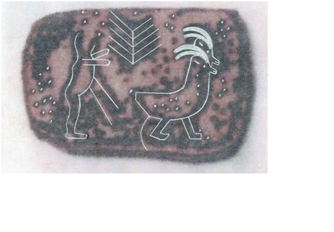 Fig. 9. Punctele negre ale textului pictographic identificate pe hărțile astronomice