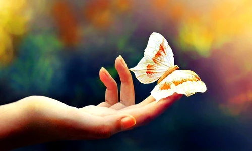 1 75031 original jpg jpeg