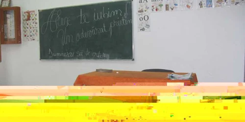 scoala ibanesti