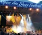 Open Air Blues Festival Brezoi Foto FB Cosmin Berghean