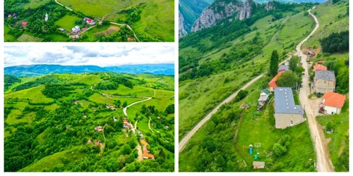 transalpina apuseni alba