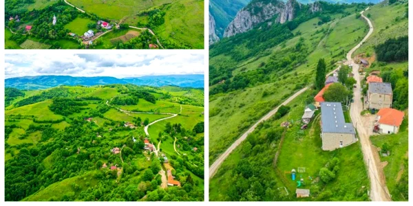 transalpina apuseni alba