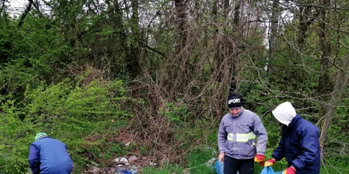 calarasi gunoi in padure FOTO Regian Nationala a Padurilor Romsilva