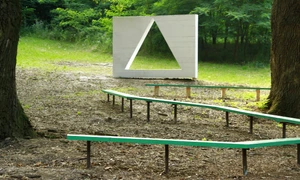 Stejarii lui Ștefan cel Mare, îngrijiți la Zilele Nordului jpeg