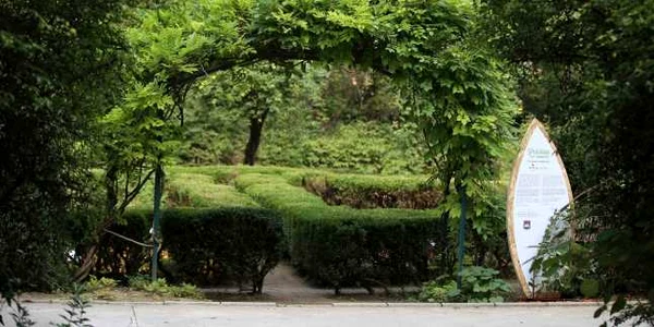gradina cu remedii 