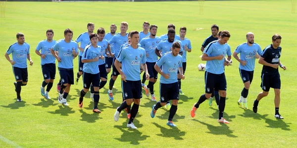 steaua foto mediafax