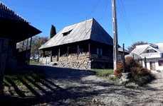 cqsa breb foto angela sabau jpg