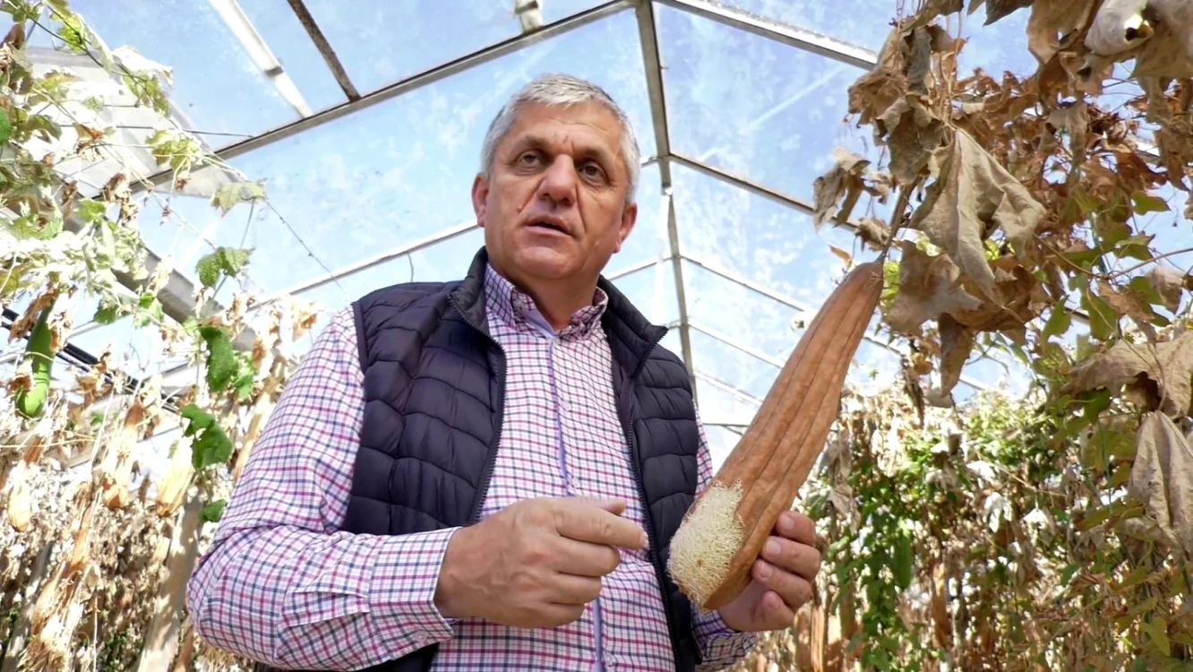 Costel Vânătoru, şeful Laboratorului de Ameliorare şi Aclimatizare din cadrul SCDL Buzău FOTO I Bunilă