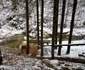 Iarna in Ponorici Foto Daniel Guță ADEVĂRUL (7) jpg