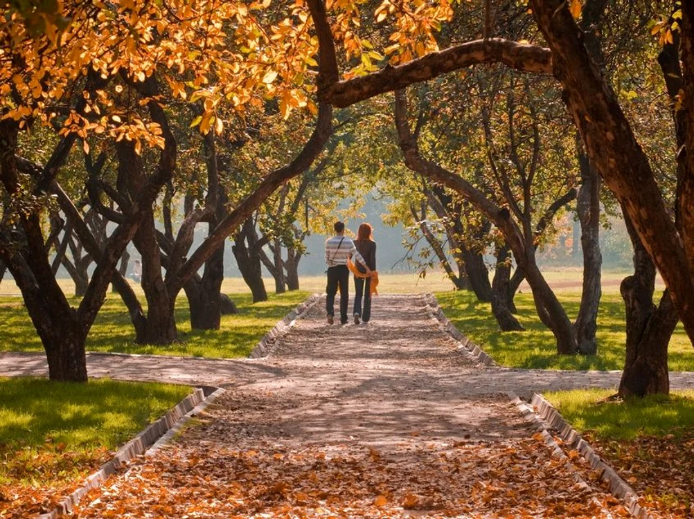 
    Află ce-ţi rezervă astrele în ultima săptămână din octombrie! (Foto: Shutterstock)  