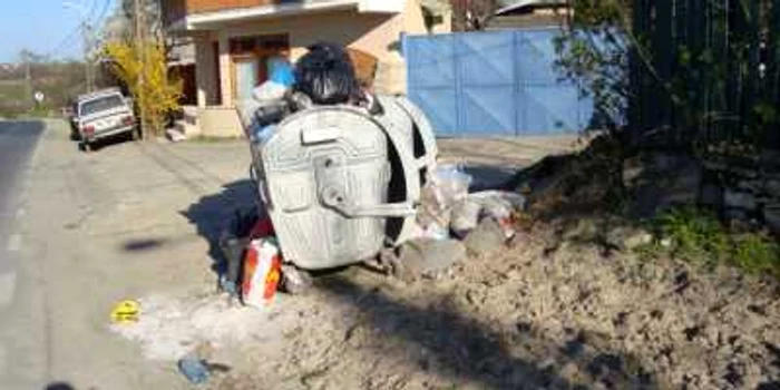 Ghenele din Mineri au dispărut în urmă cu câteva zile (foto arhivă)