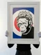 Bansky Monkey Queen jpeg