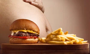 joenomias hamburger 2683042 jpg