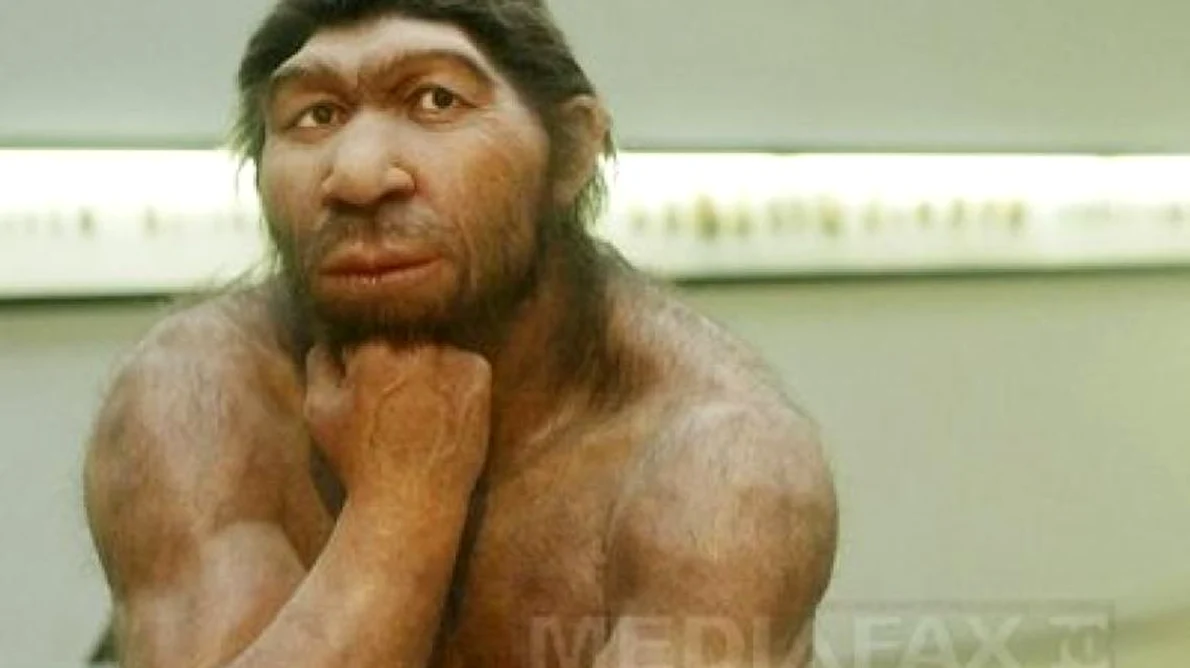 De ce a dispărut Omul de Neanderthal  Ultimele descoperiri ale cercetătorilor jpeg