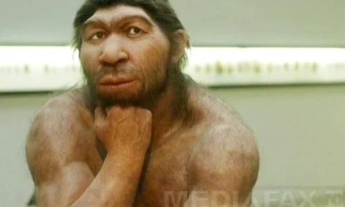 De ce a dispărut Omul de Neanderthal  Ultimele descoperiri ale cercetătorilor jpeg