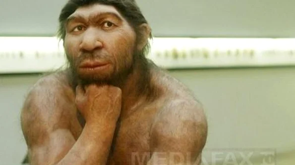 De ce a dispărut Omul de Neanderthal  Ultimele descoperiri ale cercetătorilor jpeg