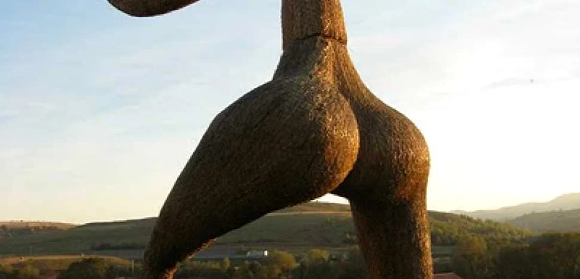 sat artistic cluj foto