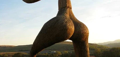 sat artistic cluj foto