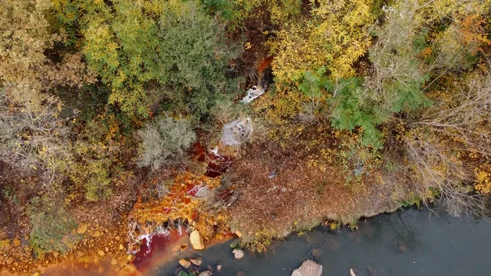 Ape de mină revărsate în râul Săsar FOTO Gogreen Resources