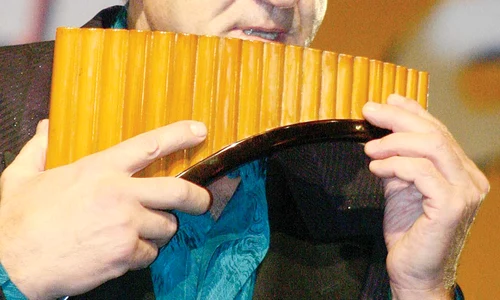 CLIIMA20121030 0080 1 jpeg