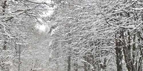 O maşină înaintează cu greutate pe o şosea acoperită cu zăpadă în Pilisszentkereszt la 30 km nord de Budapesta Ungaria FOTO EPA – EFE / Zoltan Mathe