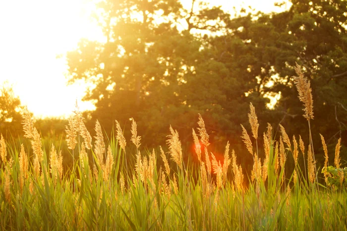 Vremea în următoarele patru săptămâni. Prognoza meteo pentru 4-31 august. Foto: unsplash.com
