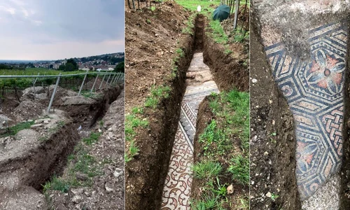 Un splendid mozaic roman, descoperit sub o podgorie din Italia | FOTO jpeg