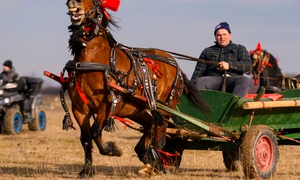 8016061 Mediafax Foto Alexandru Dobre jpg