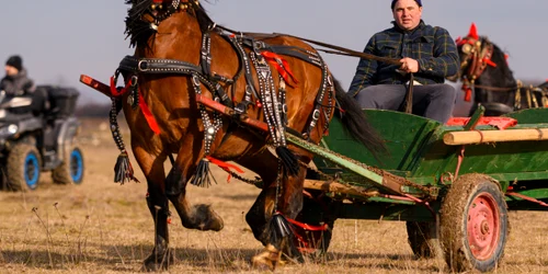 8016061 Mediafax Foto Alexandru Dobre jpg