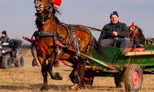 8016061 Mediafax Foto Alexandru Dobre jpg