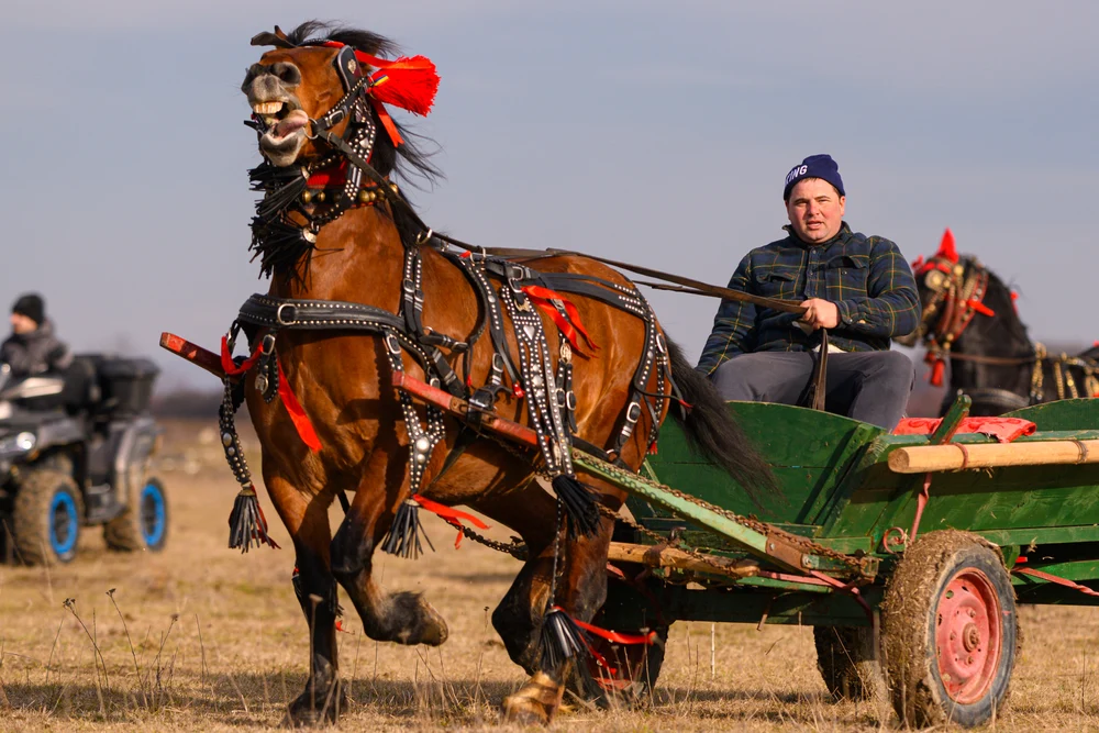 România între bâta de Anul Nou și legea secolului XXI: tradiții care dor și se schimbă odată cu noi