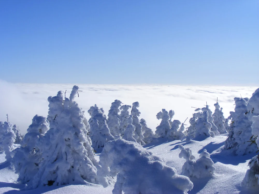 Prognoza meteo este pentru perioada 19 ianuarie - 16 februarie/FOTO: Shutterstock