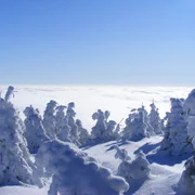 Harghita iarna FOTO Shutterstock jpg