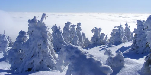 Harghita iarna FOTO Shutterstock jpg