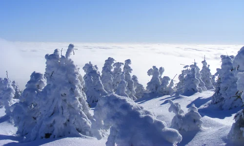 Harghita iarna FOTO Shutterstock jpg