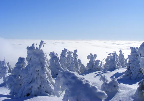 Harghita iarna FOTO Shutterstock jpg