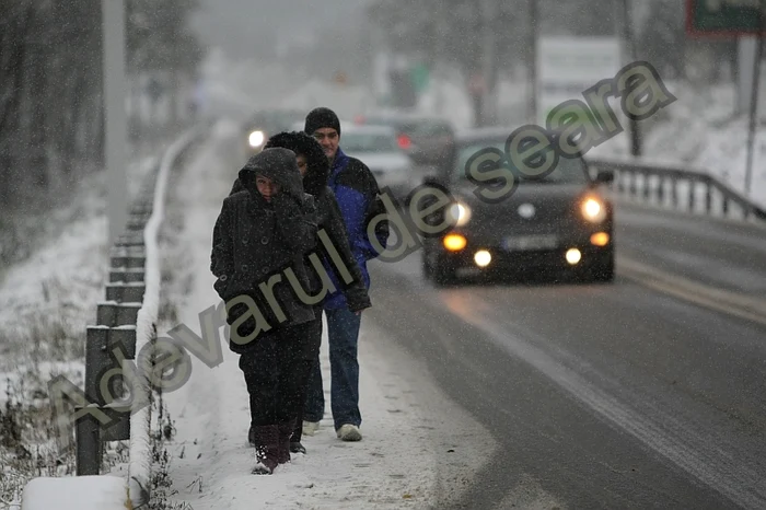 Trafic îngreunat pe DN 1 şi DN 1A Foto: Bogdan Crăciun