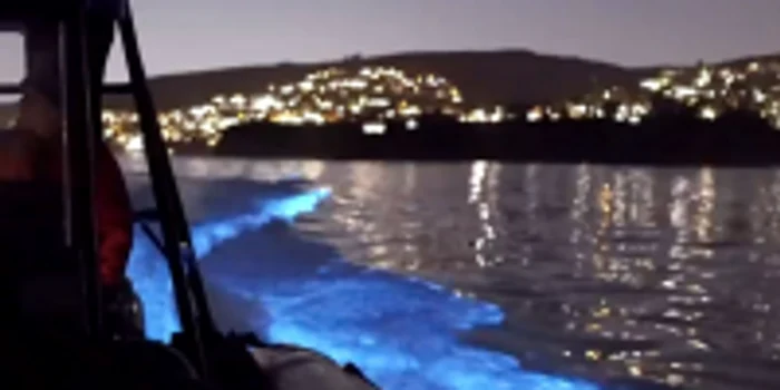 Valurile bioluminescente in sudul Californiei FOTO Twitter