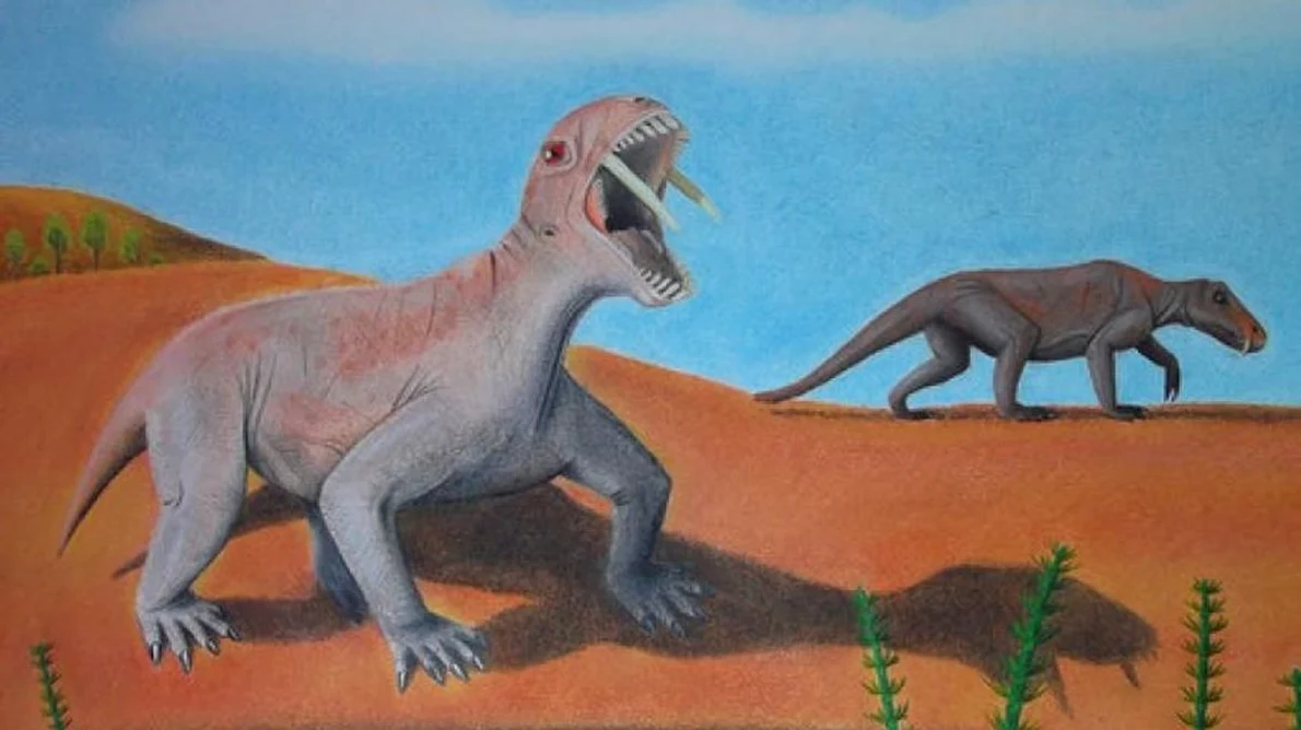 Gândul: Un DINOZAUR VEGETARIAN cu DINŢI DE 13 CENTIMETRI a fost descoperit în Brazilia jpeg