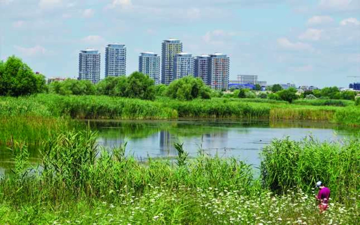 Parcul Văcăreşti este numit şi „delta dintre blocuri“; Fotografii: Alexandra Şerban
