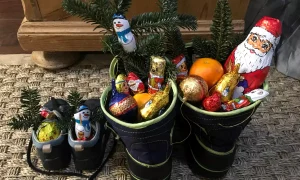 shutterstock 1262489116 webp