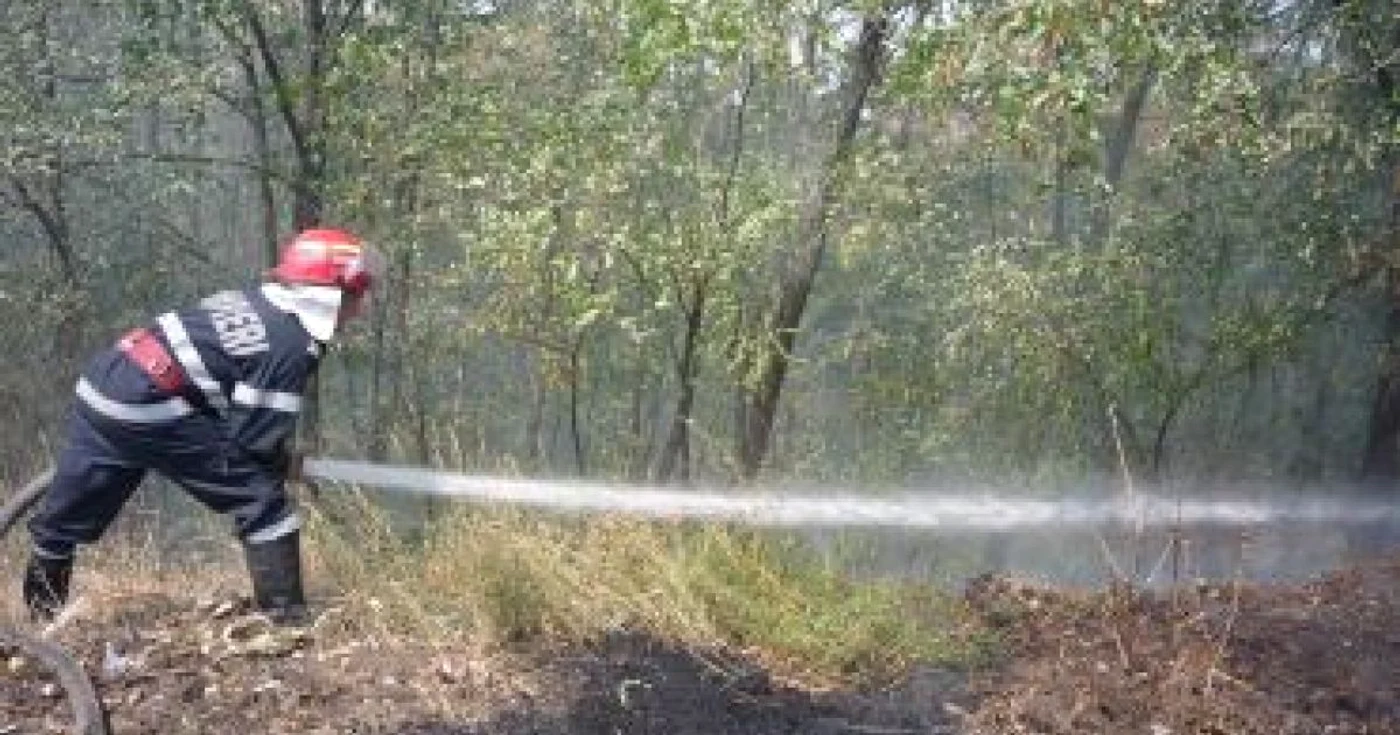 Slatina: Incendiu la pădure