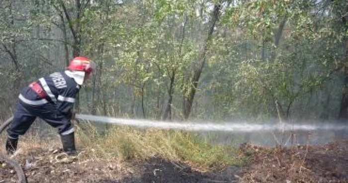 Slatina: Incendiu la pădure