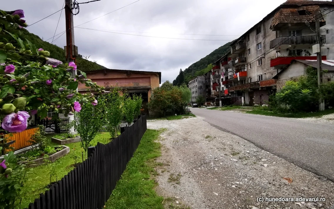 Rușchița Foto Daniel Guță ADEVĂRUL
