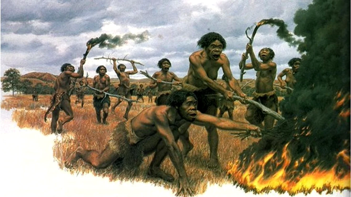 Homo Erectus au fost probabil primii hominizi de pe teritoriul României FOTO Adevărul