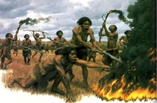 Homo erectus – primii hominini care au depășit „rubiconul cerebral” jpeg