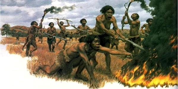 Homo erectus – primii hominini care au depășit „rubiconul cerebral” jpeg
