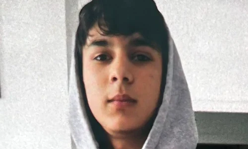 Radu Iosif, minor implicat in dosarul Șacalul jpeg