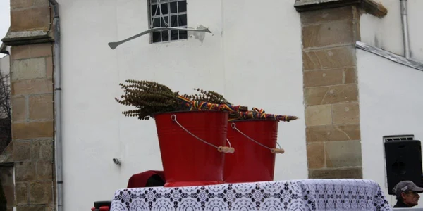 boboteaza bistrita 5