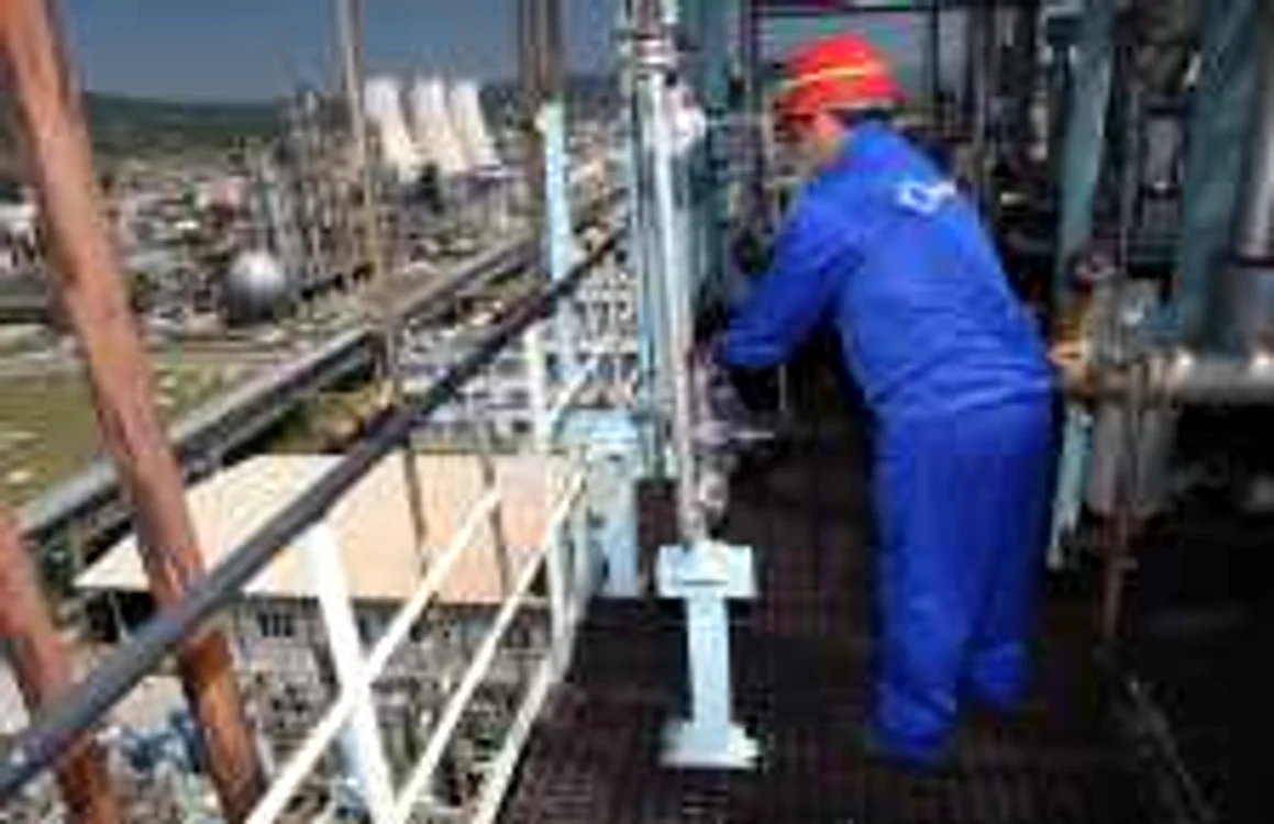 Producţia la Oltchim a fost oprită din cauza lipsei materiei prime FOTO Marian Iliescu
